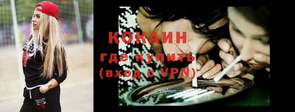 хмурый Белокуриха