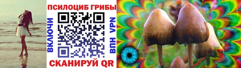 Псилоцибиновые грибы GOLDEN TEACHER Кочубеевское